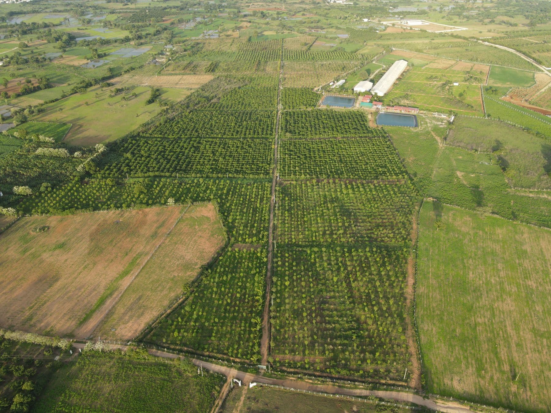 Akshaya CSA Kothakota farm
