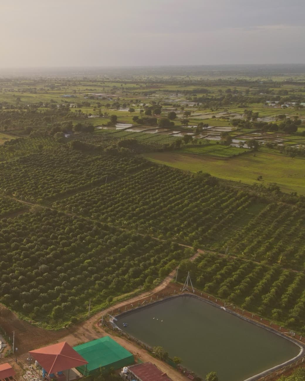 Aerial view of the demarcated farm and its water pond
