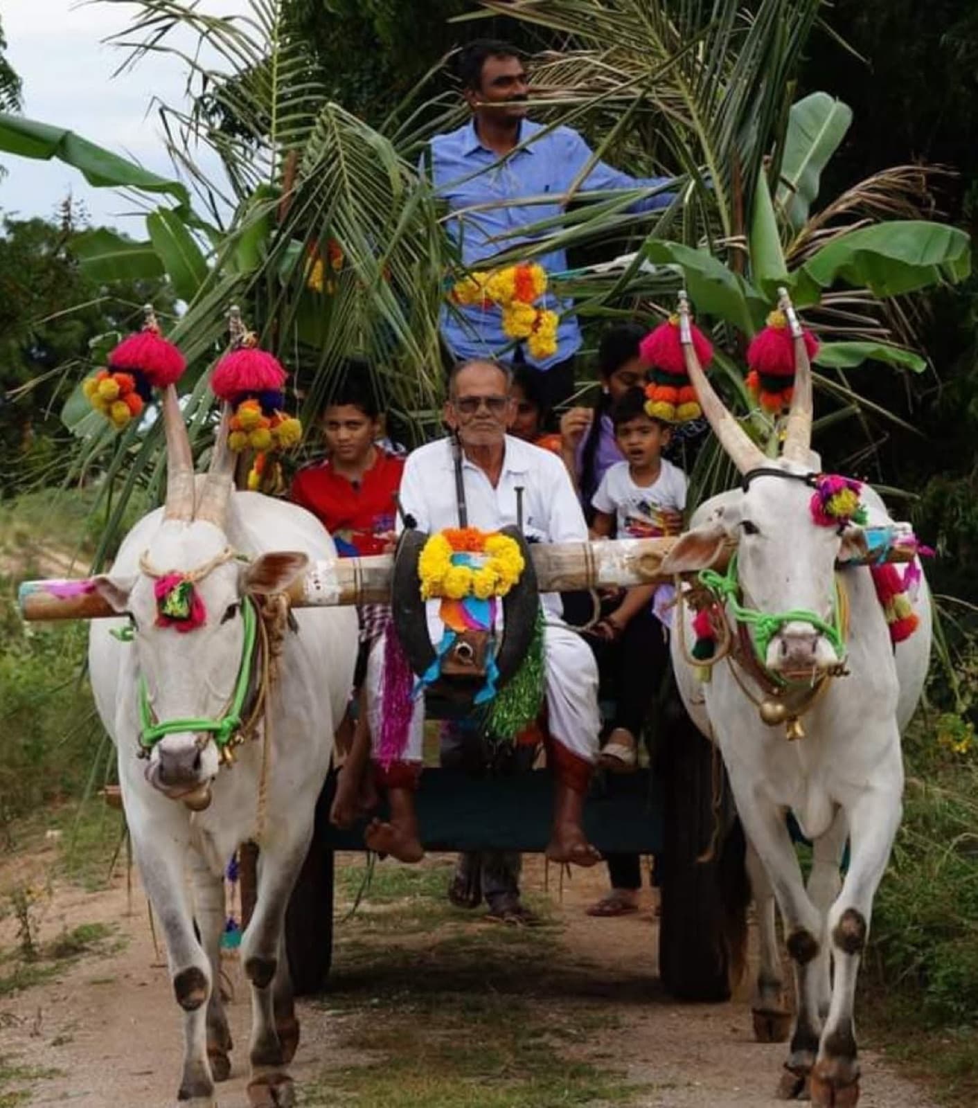 A family riding a decorated bullock cart at a farm festival