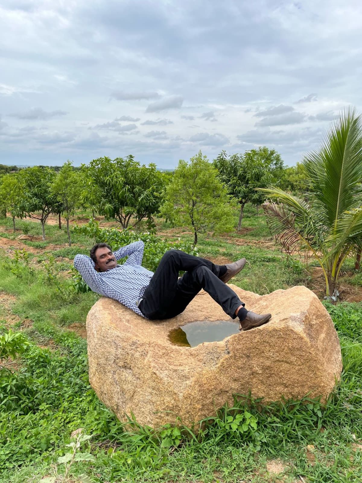 Resting on a boulder among the young orchard trees