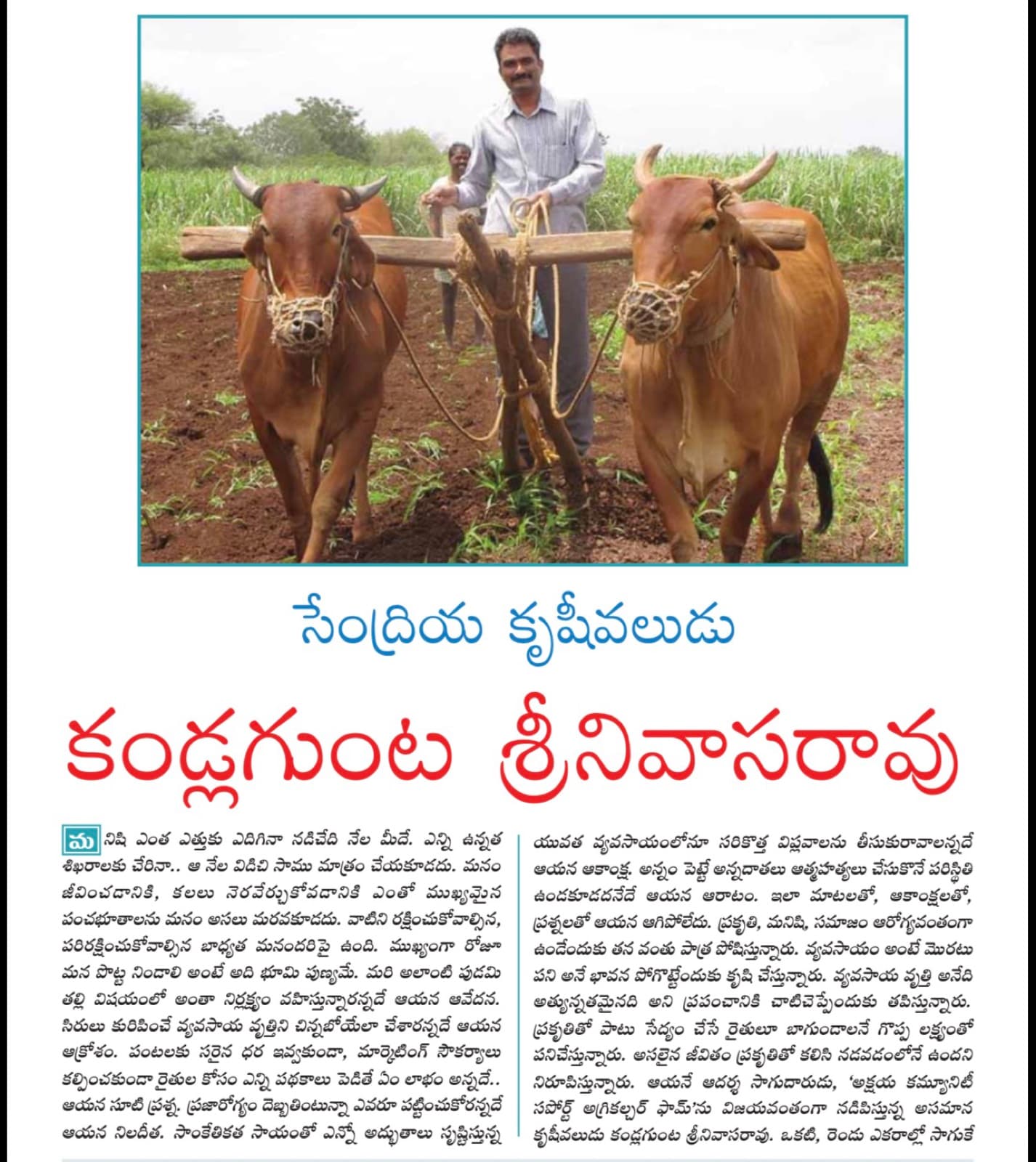 Magazine feature