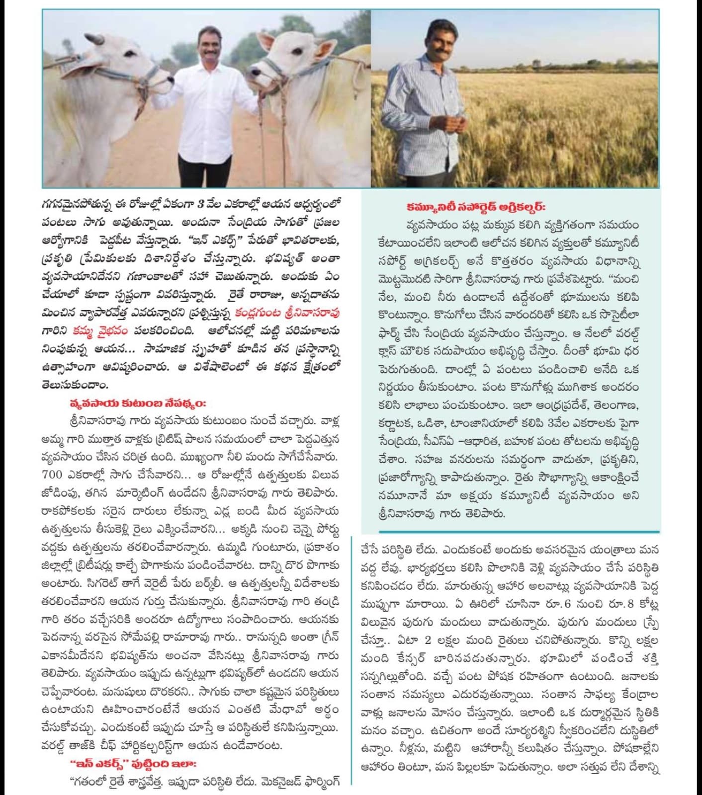 Magazine feature