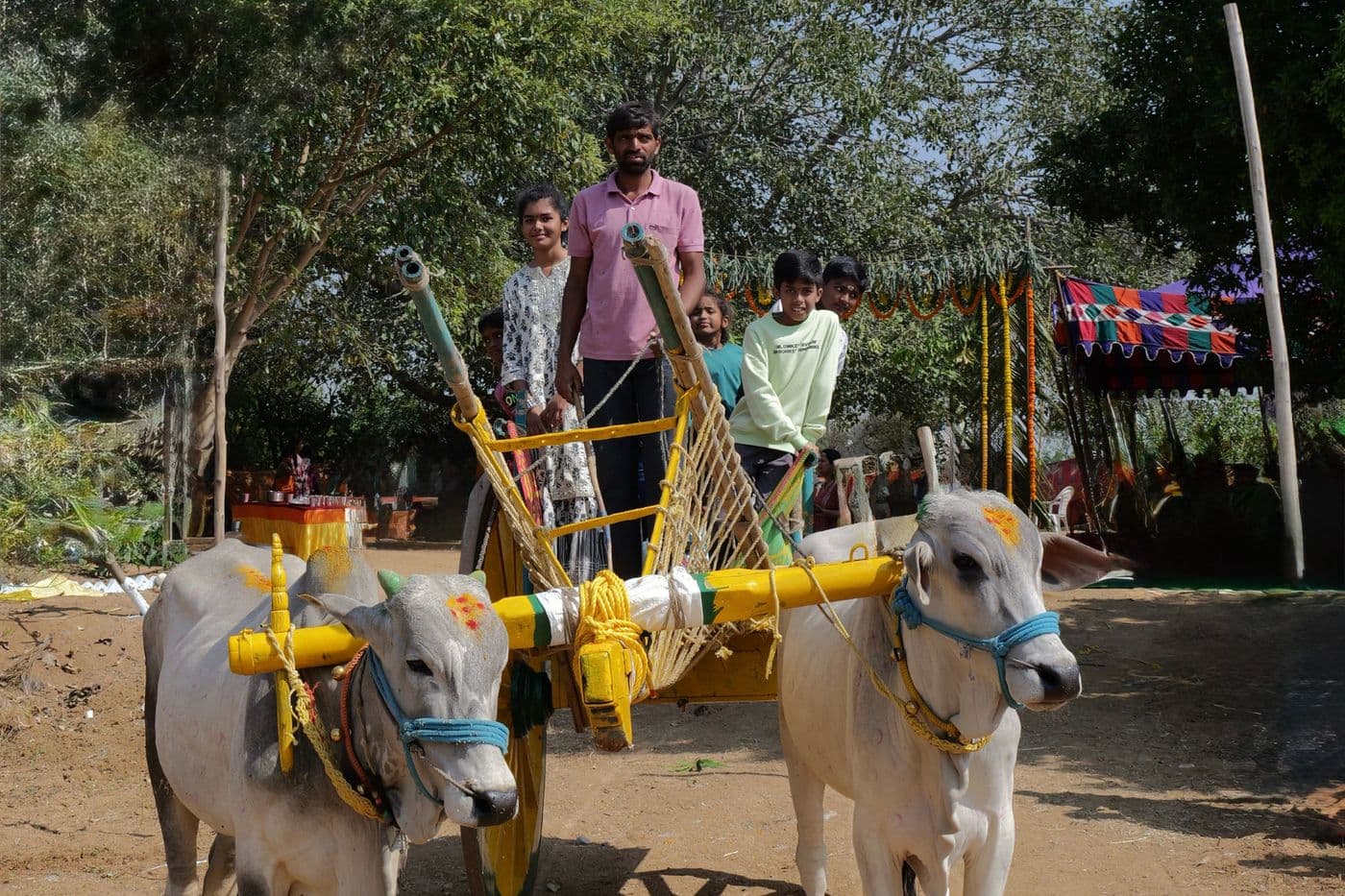 Families on a decorated bullock cart at a farm festival