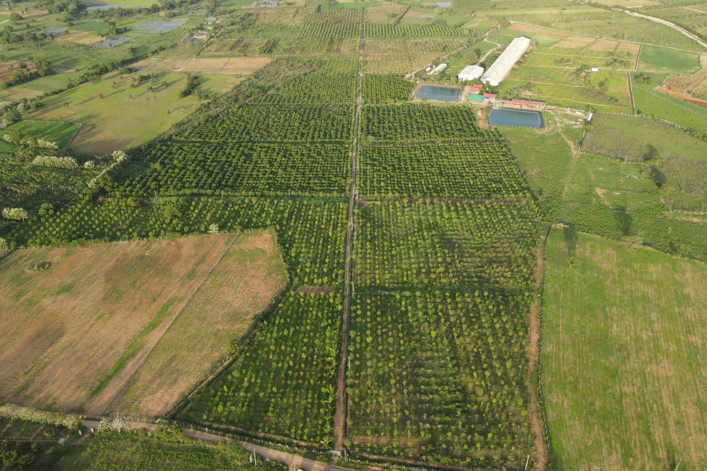 Akshaya CSA Shadnagar farm